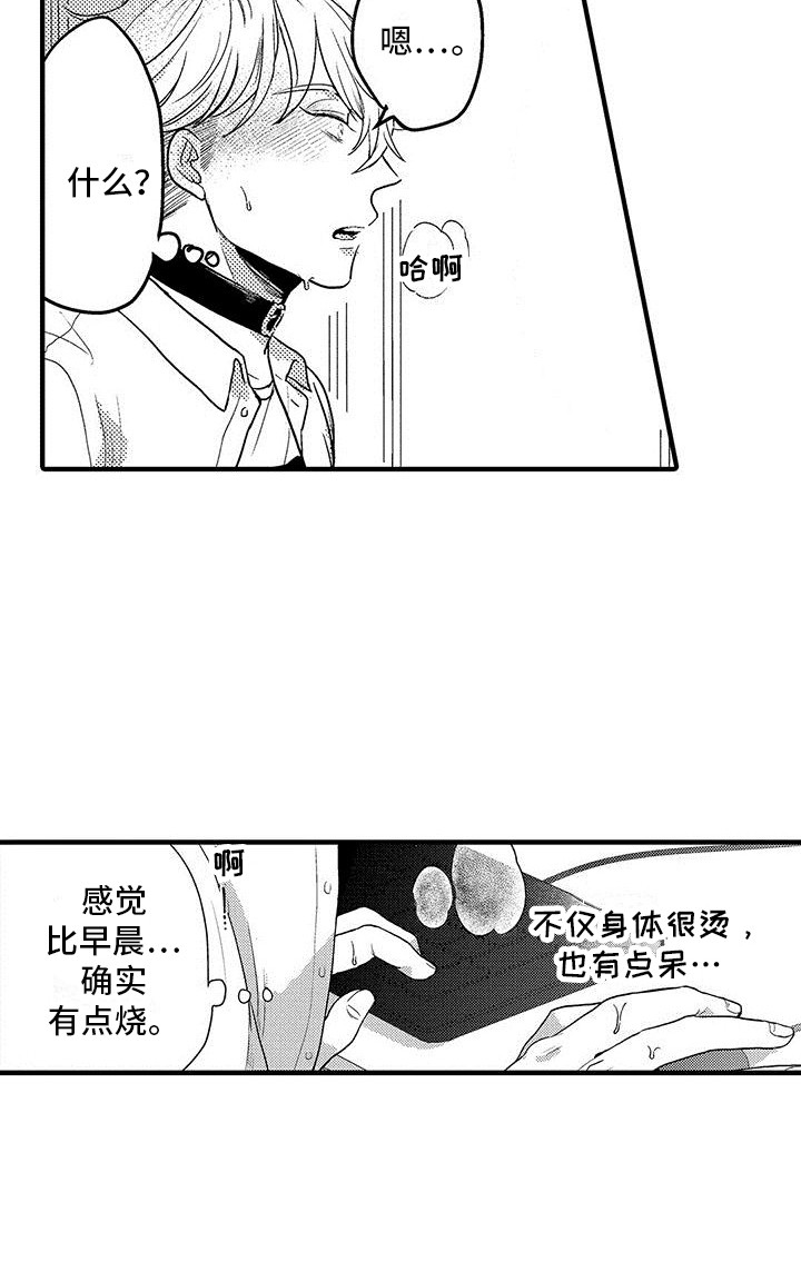 第8章： 发热期5
