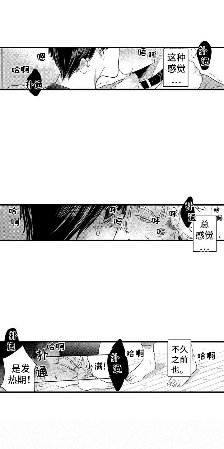 第28章：实验继续  4