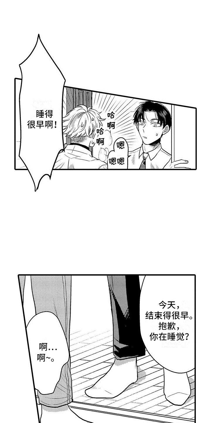 第7章：看视频11