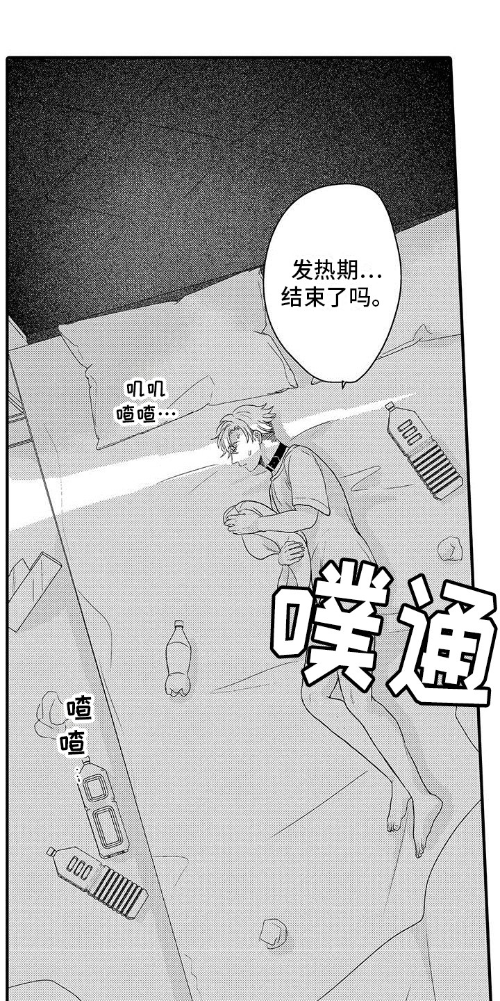 第15章：衣服  8