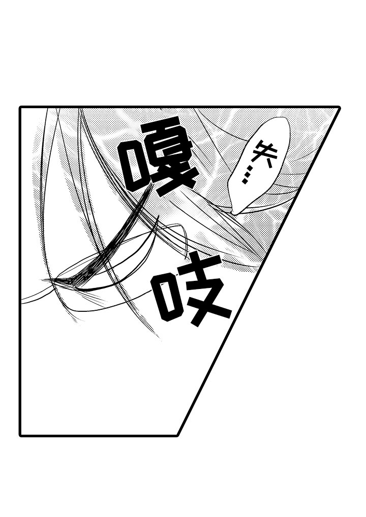 第3章：第一次合弹19