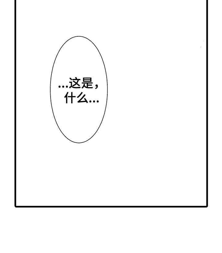 第14章：吻22