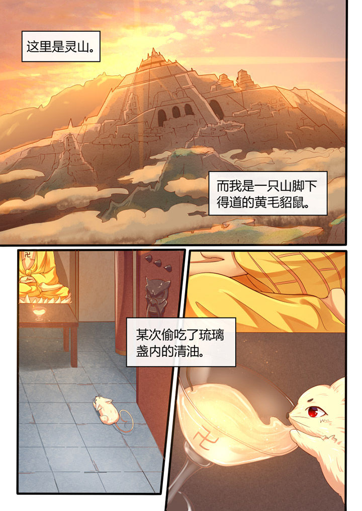 第32章：0