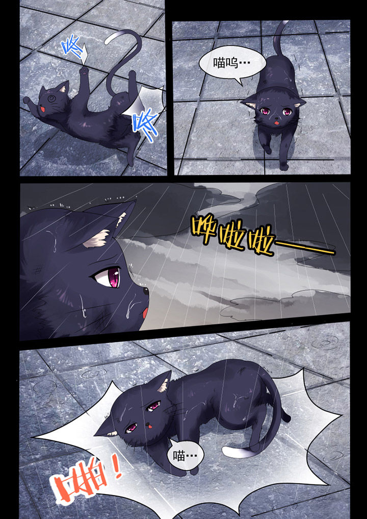 第45章：7