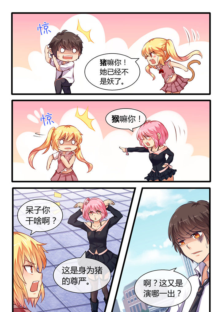 第29章：5