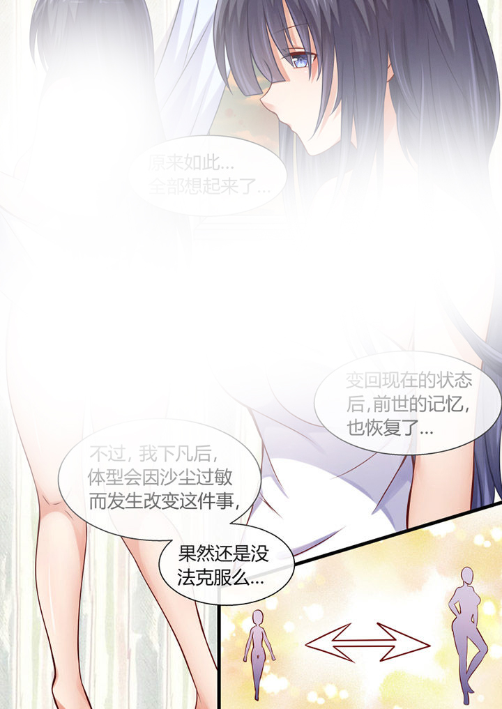 第17章：3