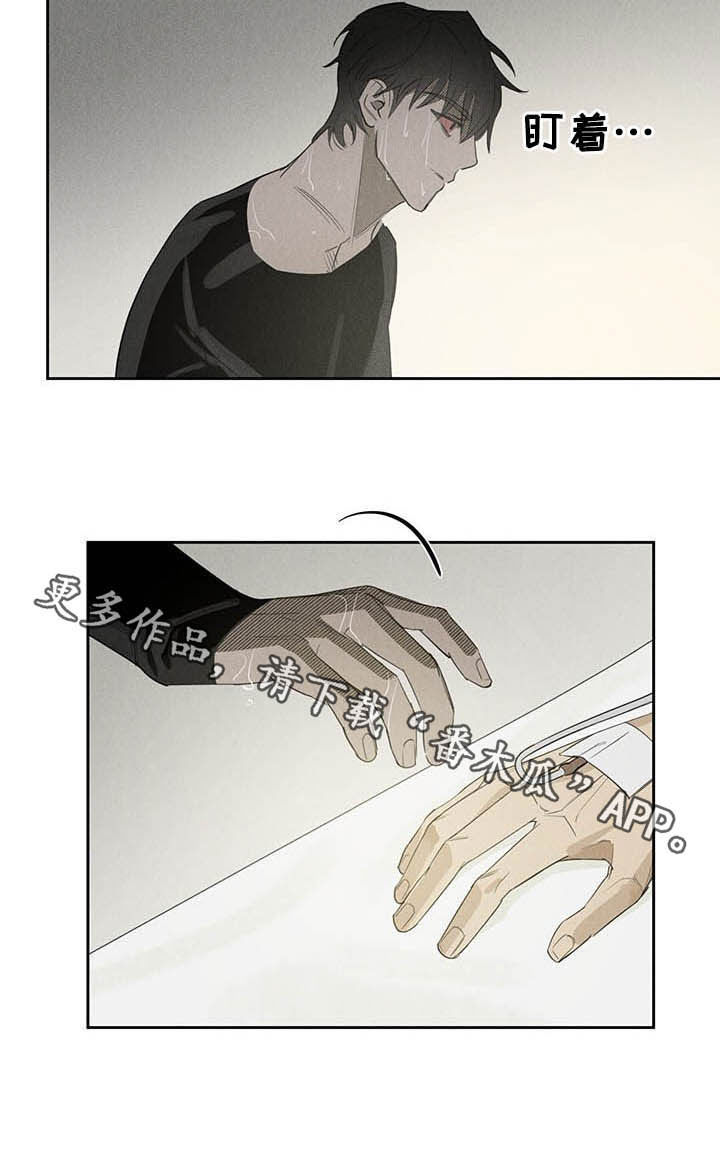 第18章：探视6