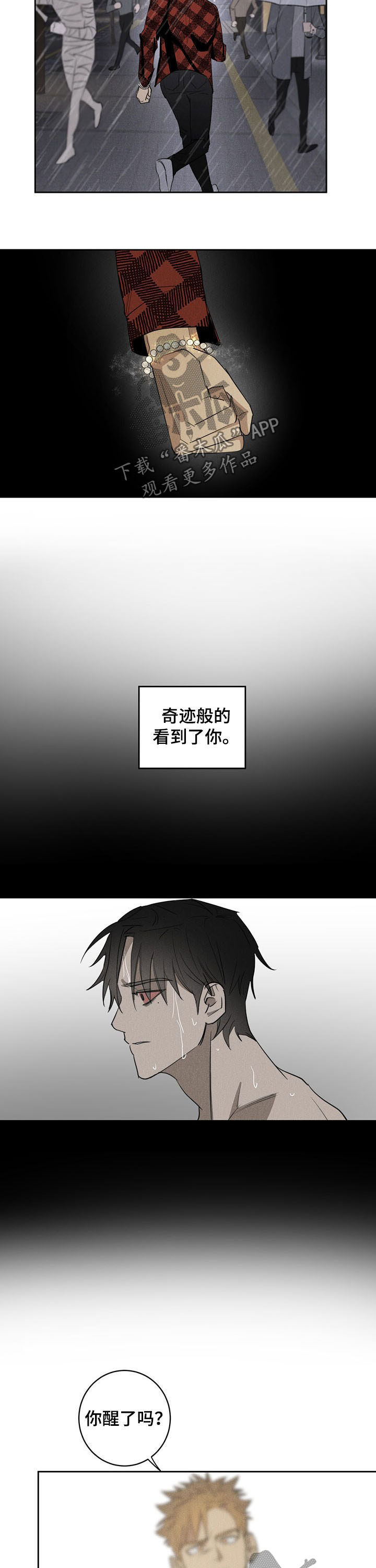 第19章：奇迹6