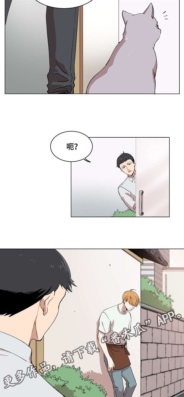 第14章：失踪案件19