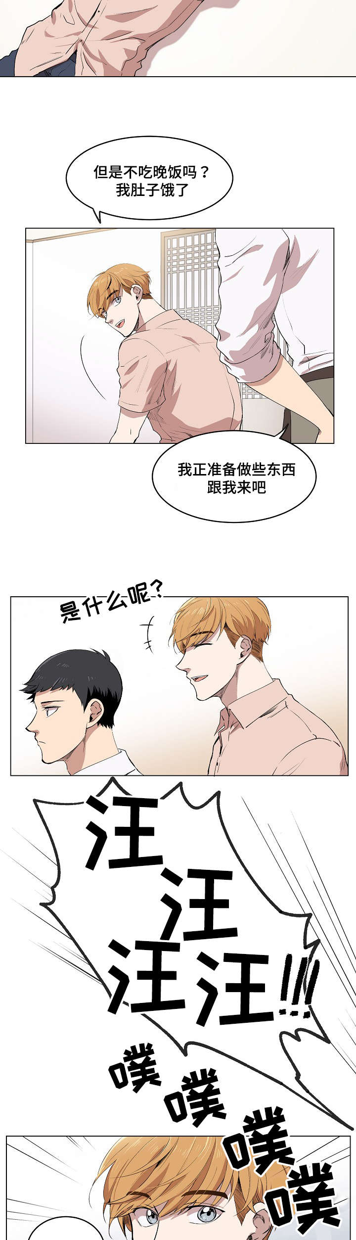 第3章：帕特拉什10