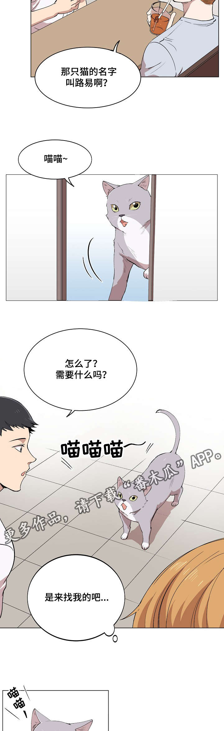 第5章：简直就是花美男11