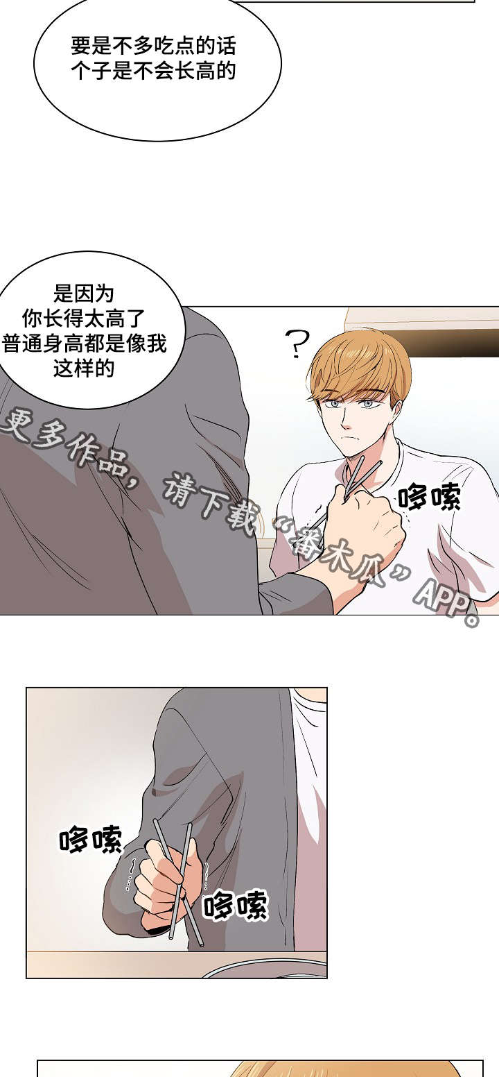 第16章：伪装19