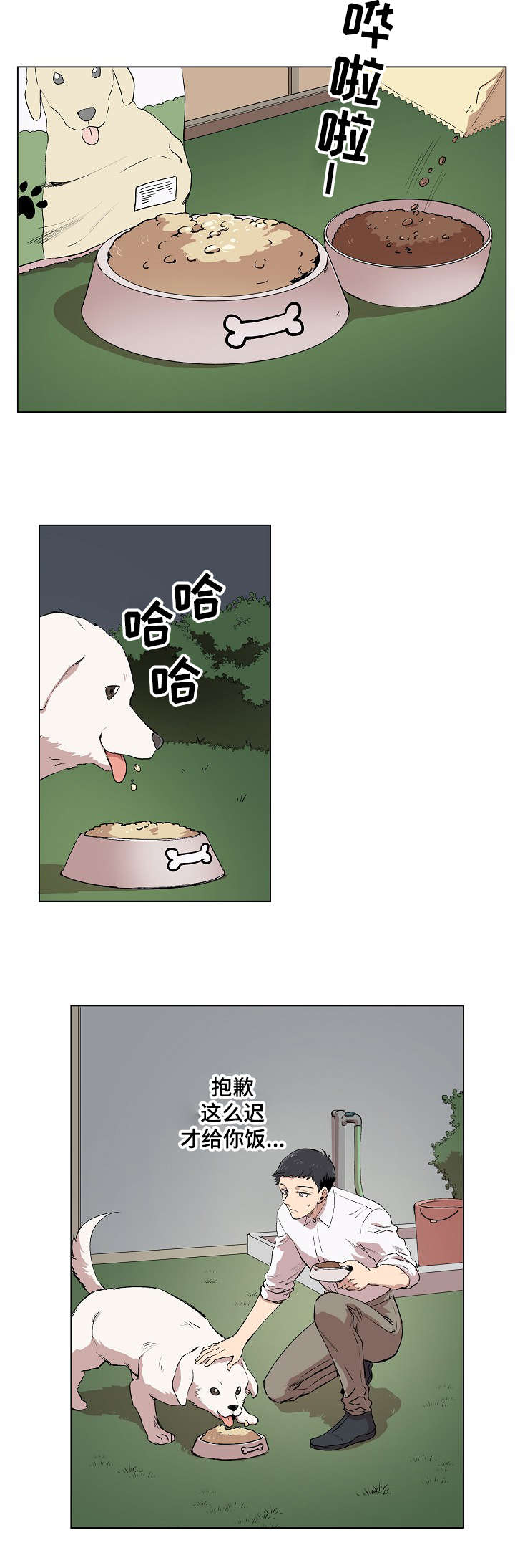 第3章：帕特拉什17