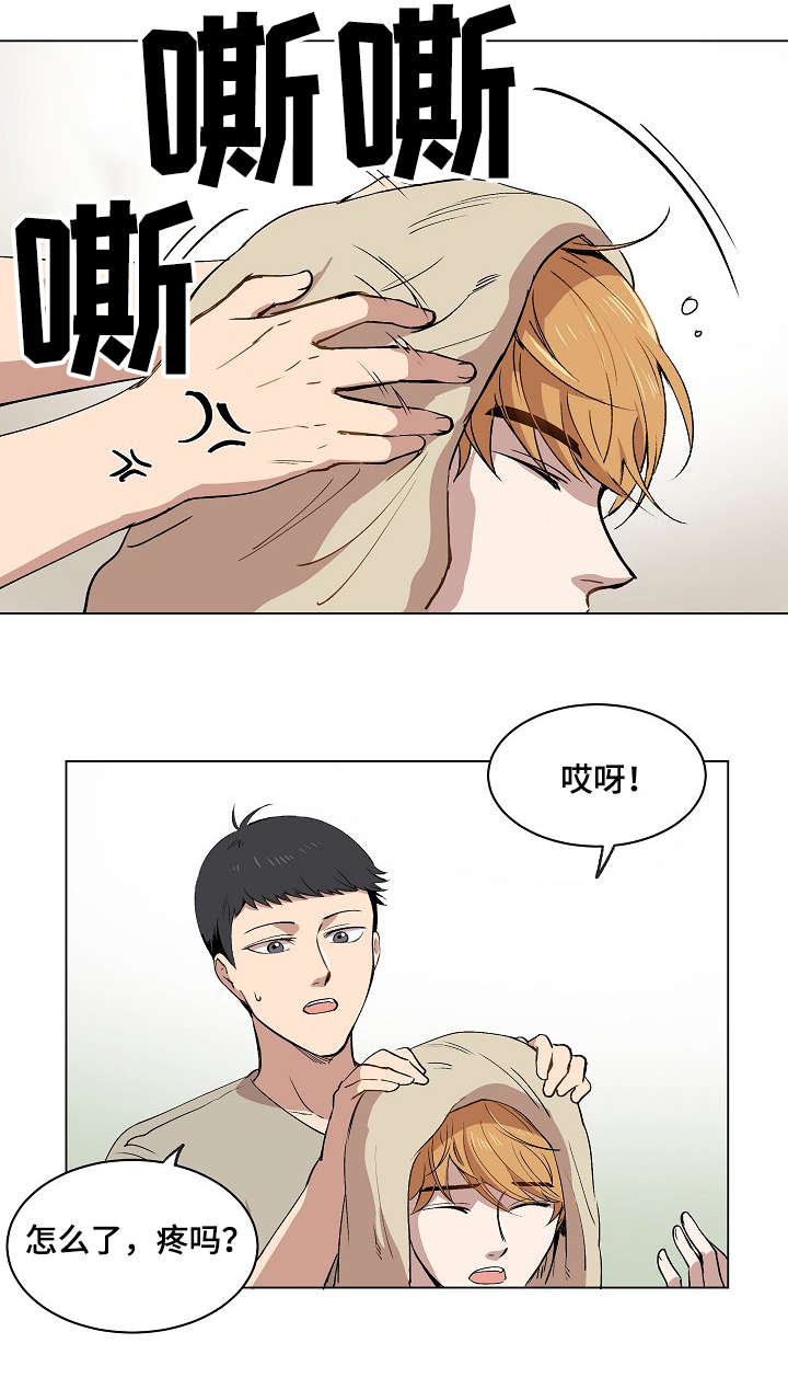 第15章：身体的记忆17