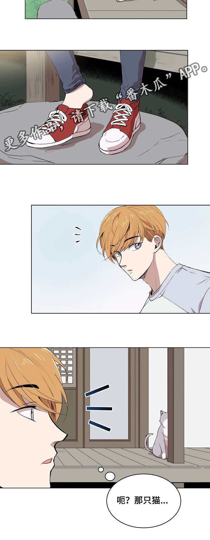 第5章：简直就是花美男1