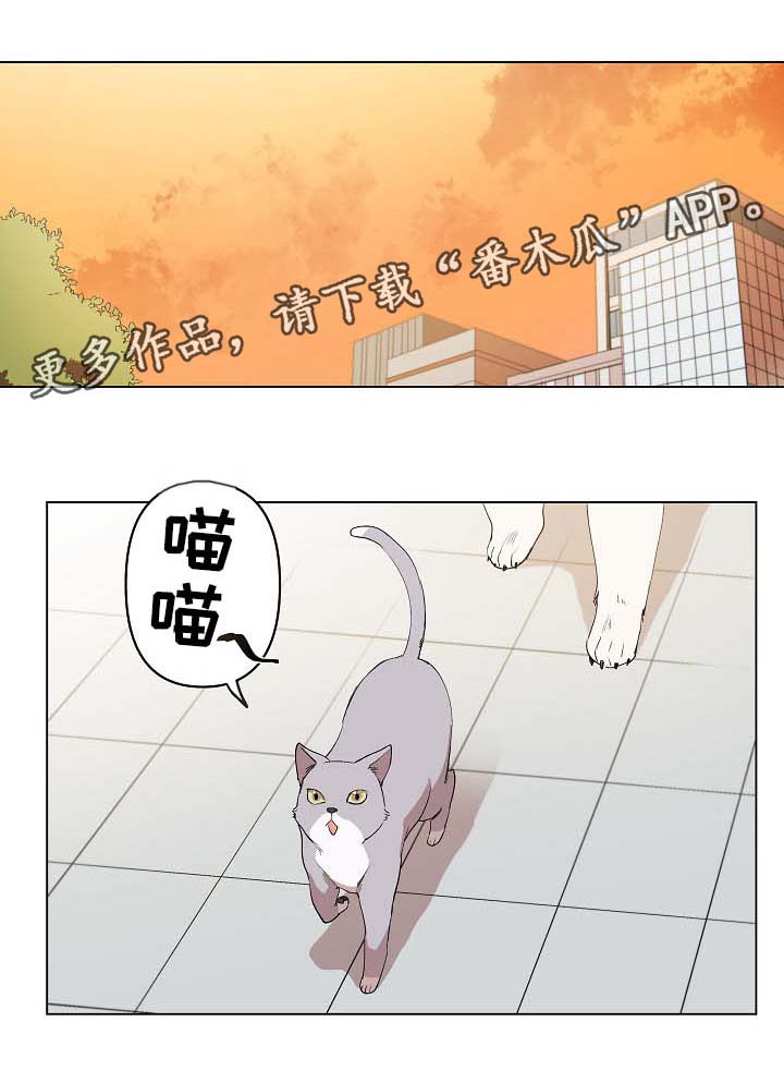 第32章：秀恩爱0