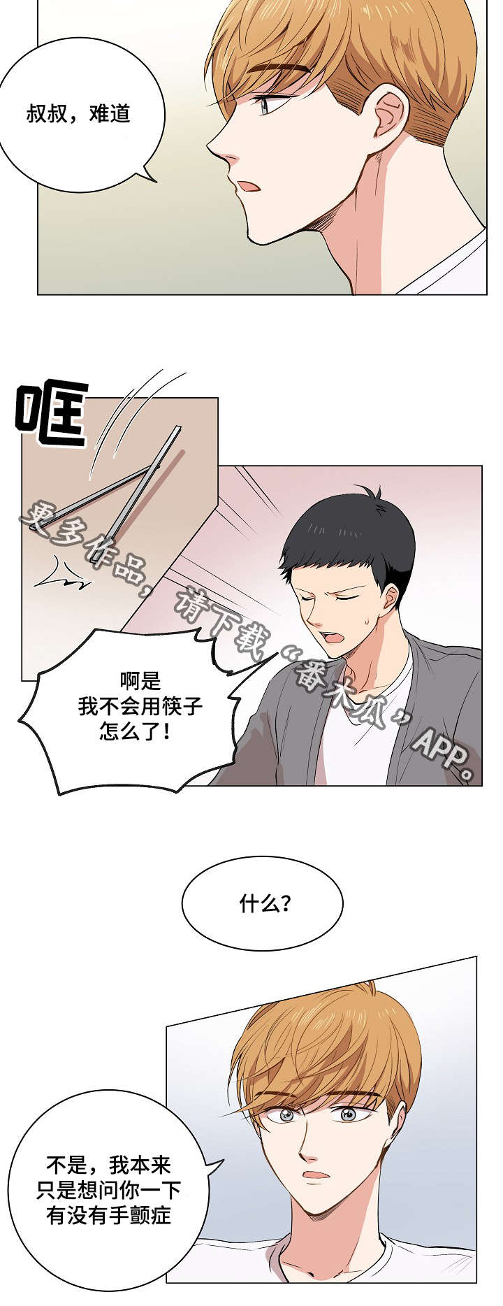 第16章：伪装20