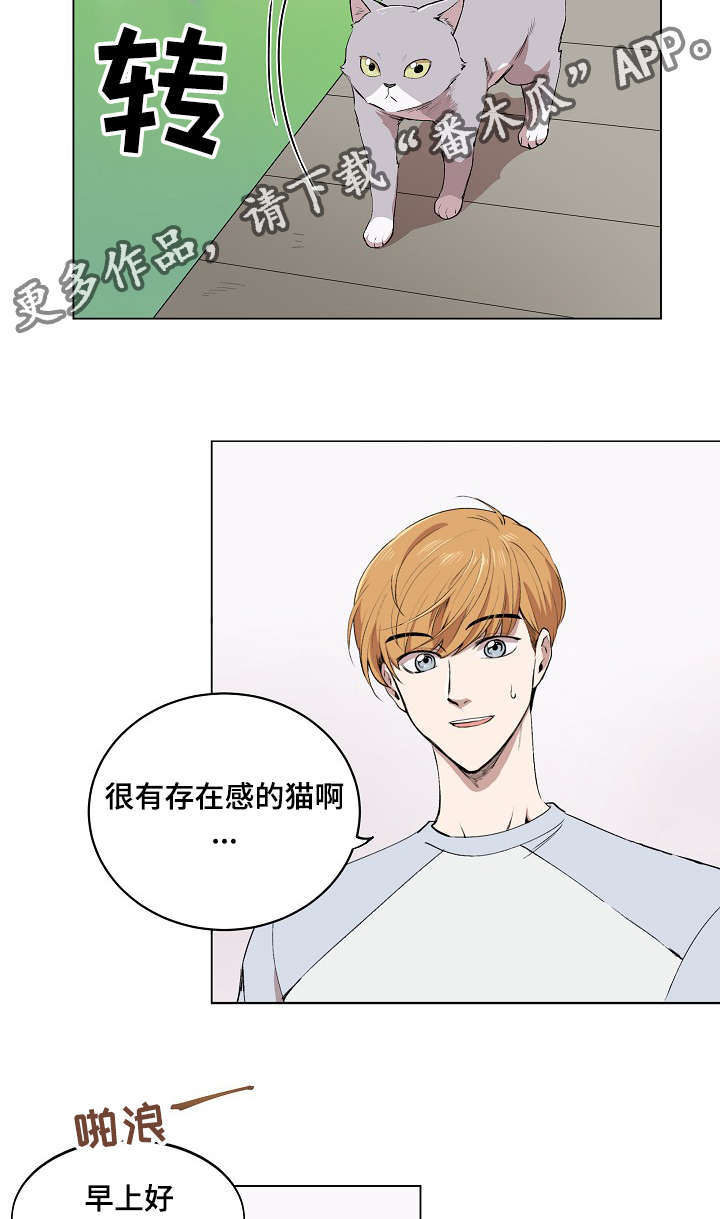 第5章：简直就是花美男3