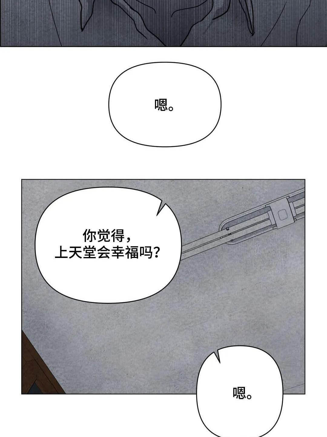 第35章：会幸福的17