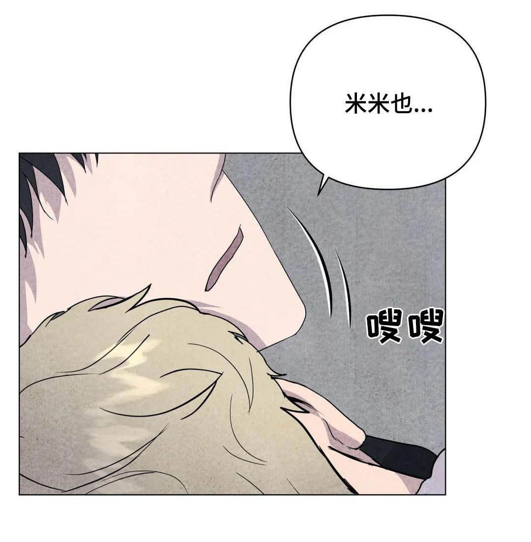 第35章：会幸福的21