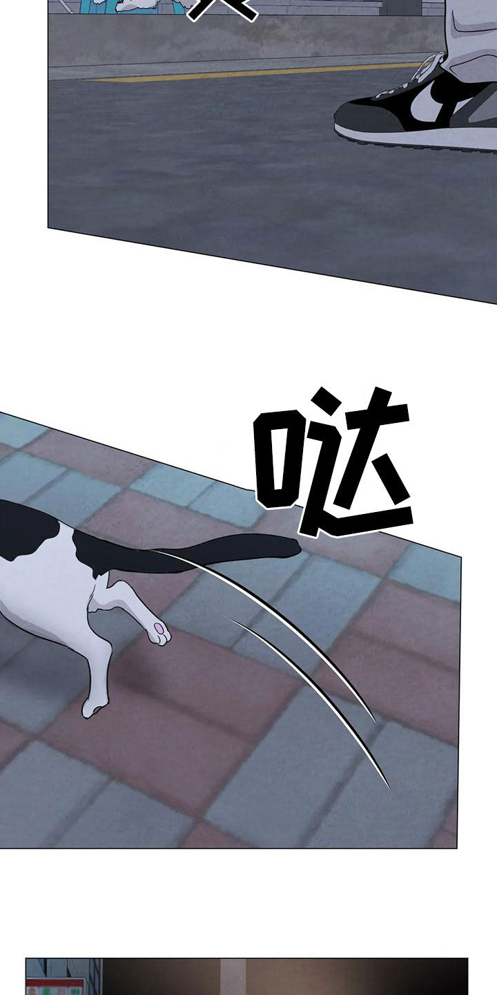 第83章：【第二季 】台阶20
