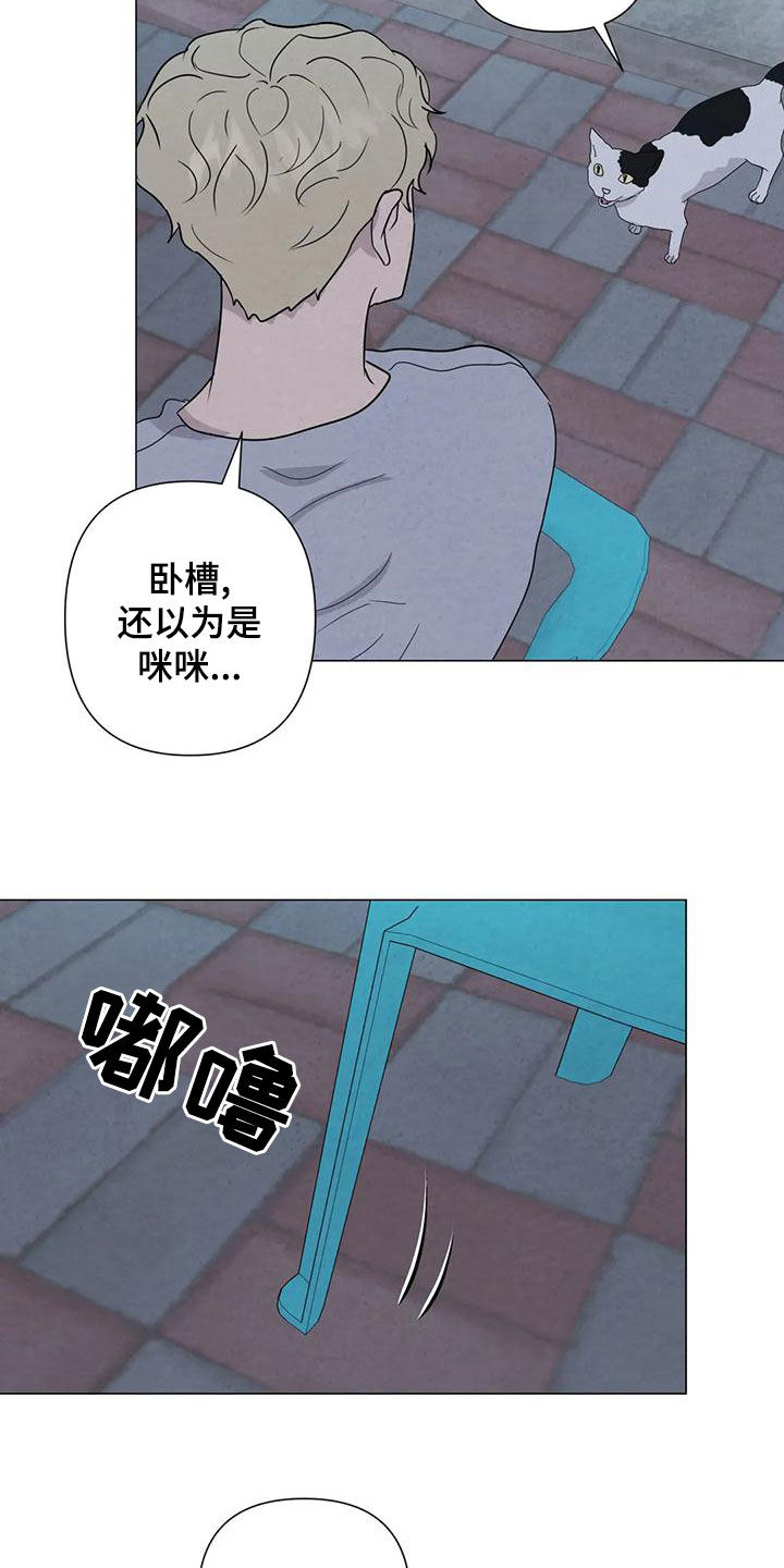 第83章：【第二季 】台阶18