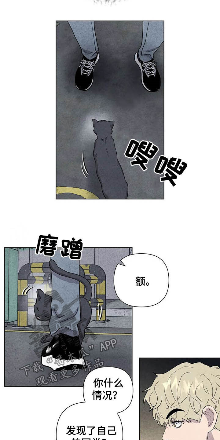 第17章：取名16