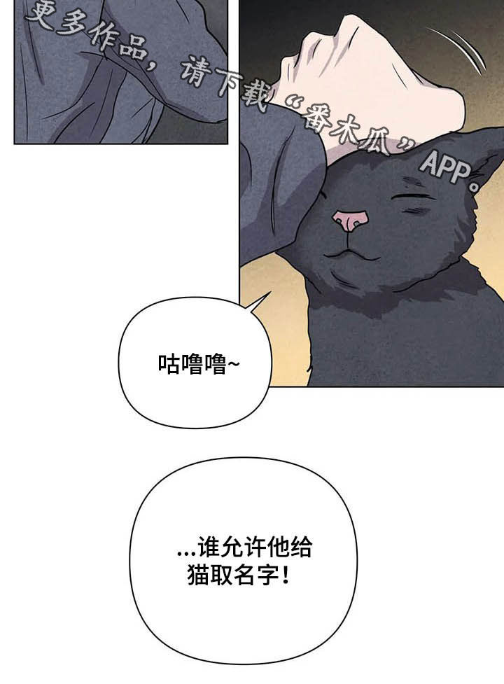 第17章：取名19