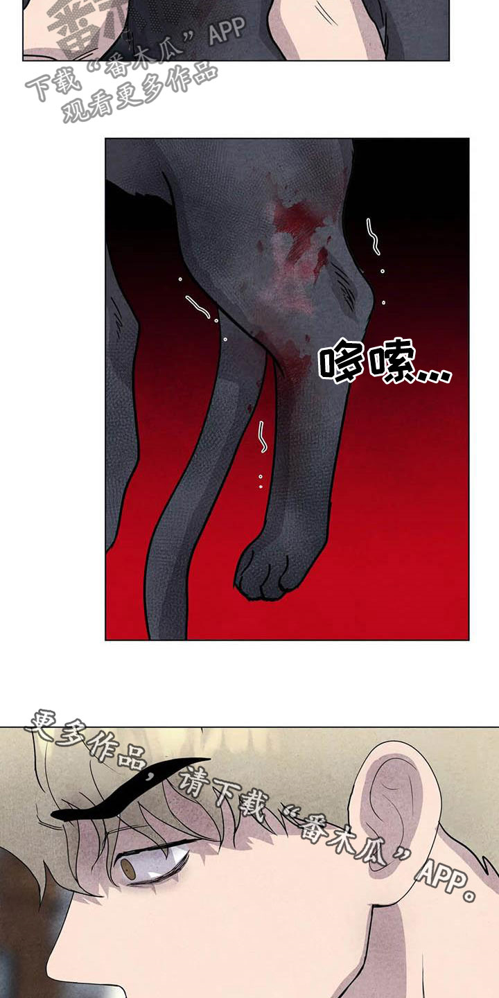 第30章：米米受伤15