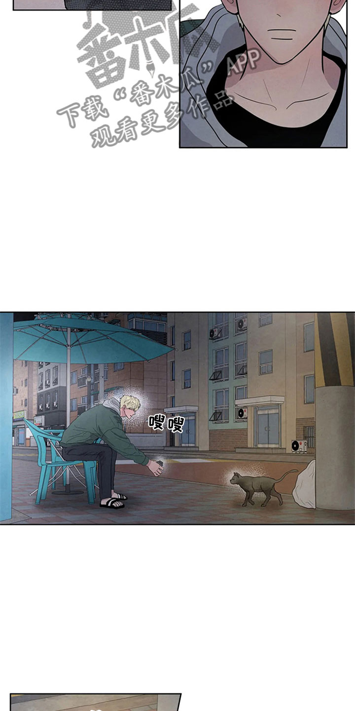 第4章：生鱼片15