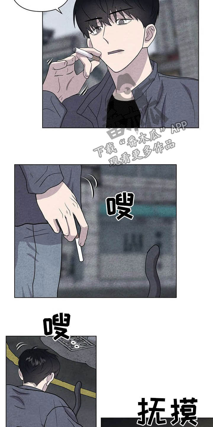 第17章：取名18