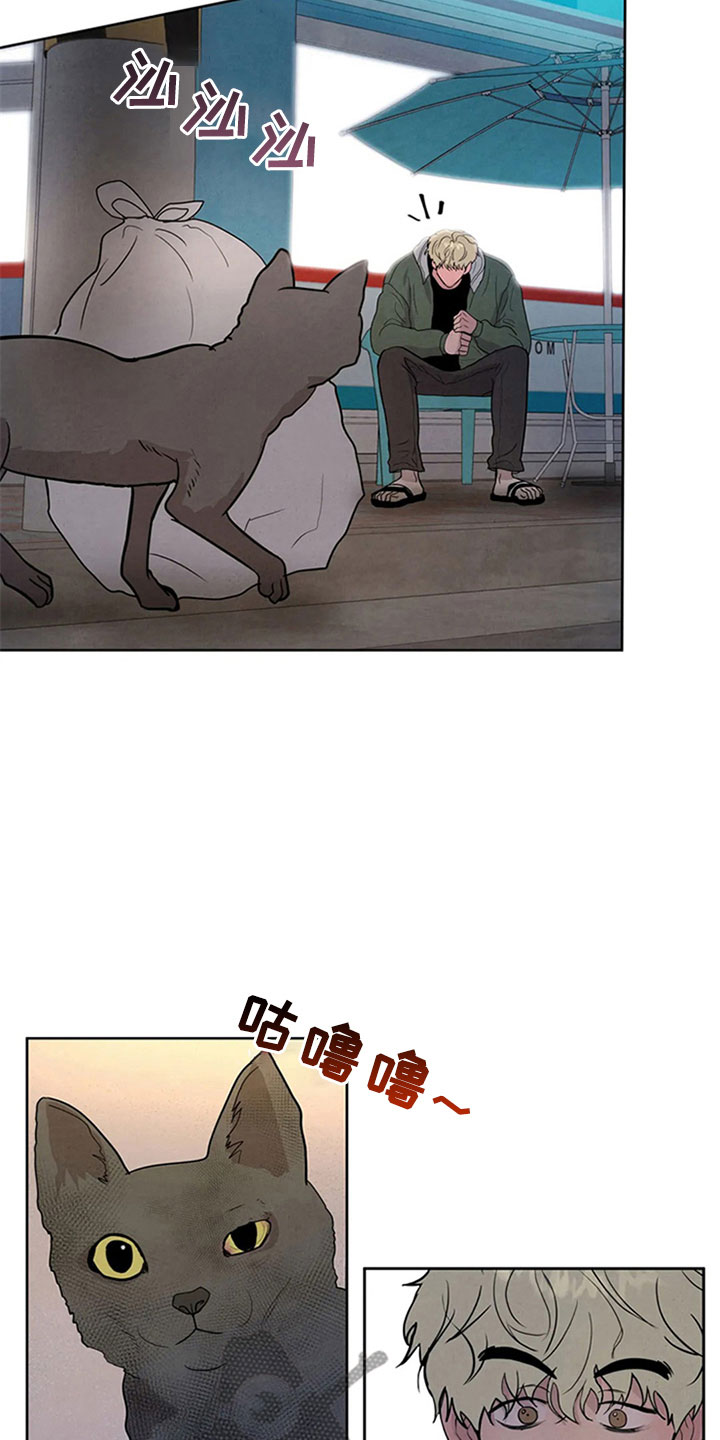 第4章：生鱼片14