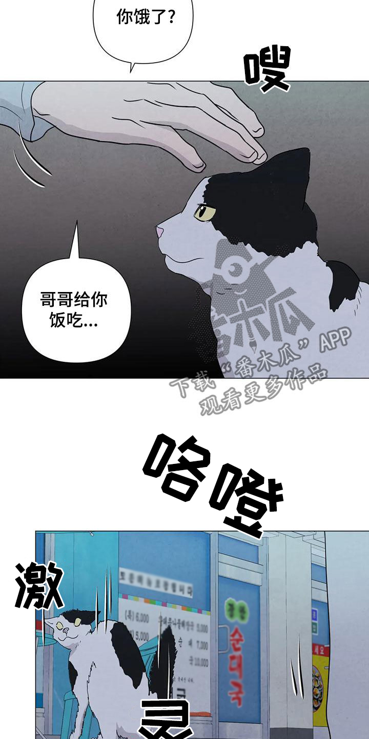 第83章：【第二季 】台阶19