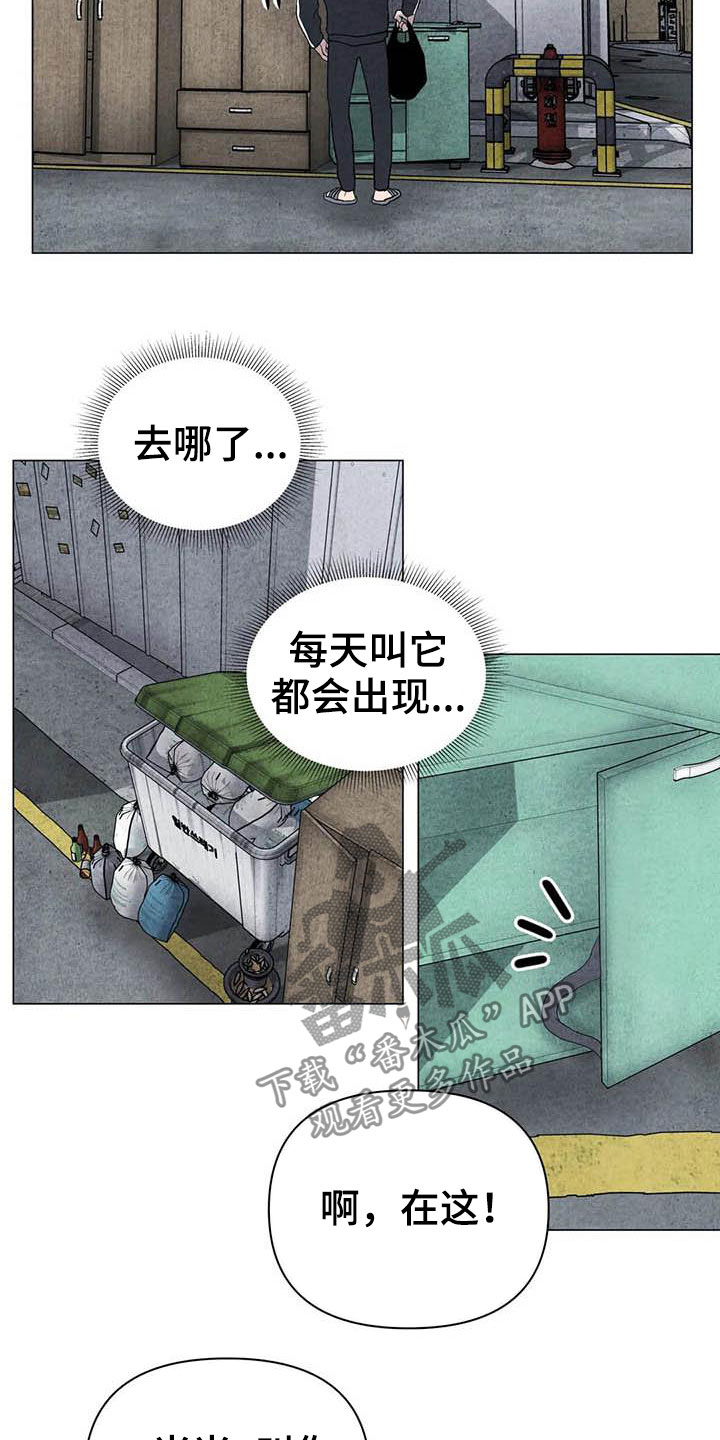 第30章：米米受伤13