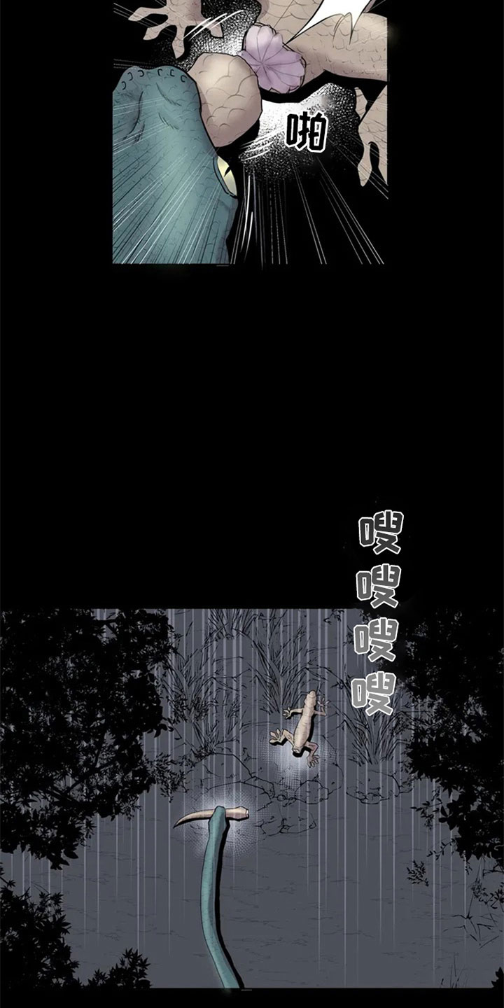 第1章：手指5