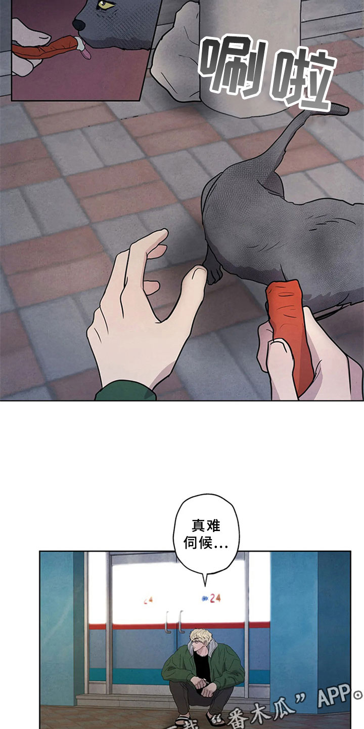 第4章：生鱼片20