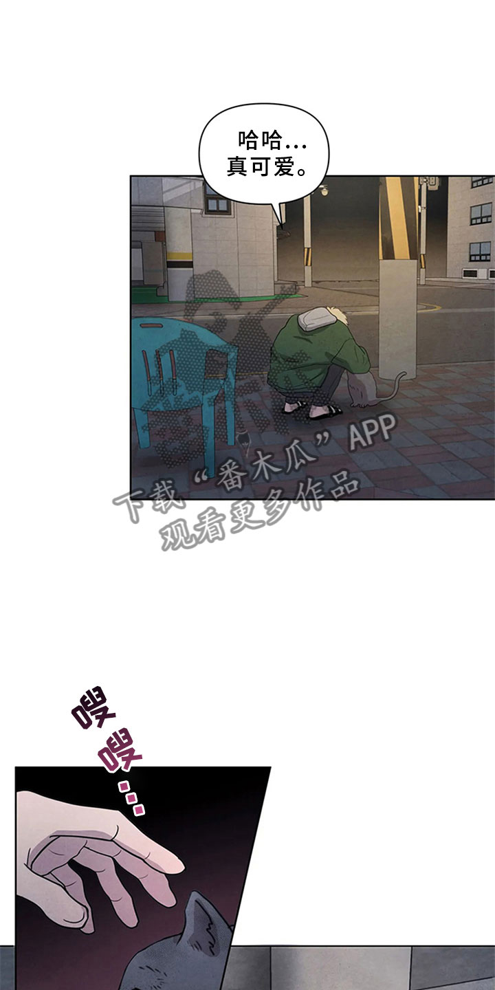 第4章：生鱼片19