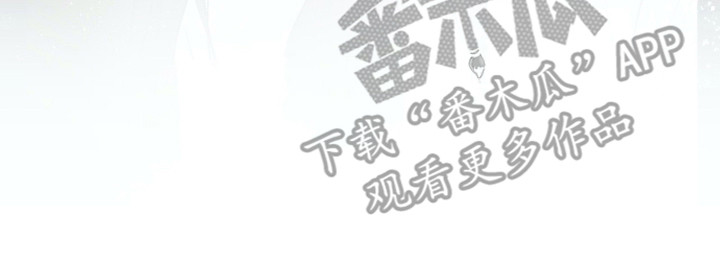 第23章：不能贪心13