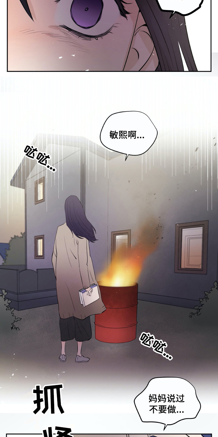第17章：烧毁6