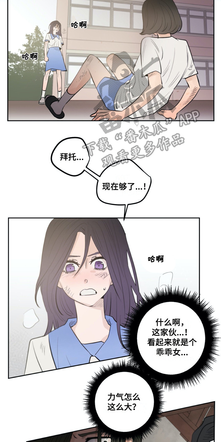 第31章：维护1