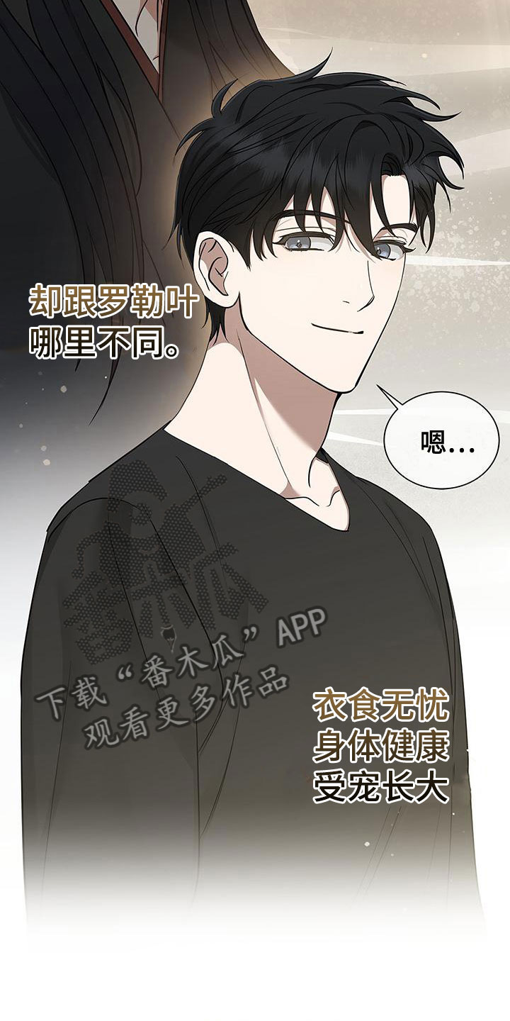 第12章：厚脸皮18