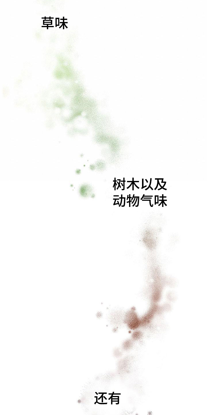第2章：非阴非阳11