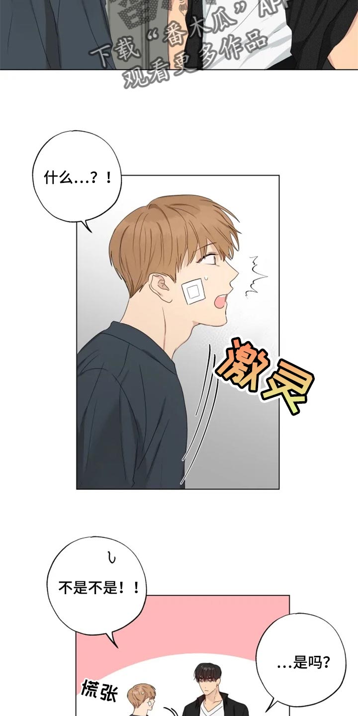 第20章：消沉8
