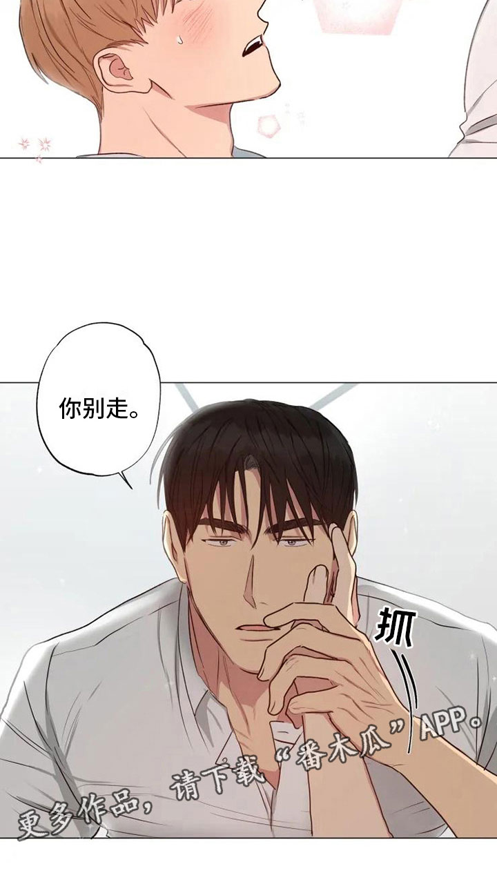 第11章：带回家了28