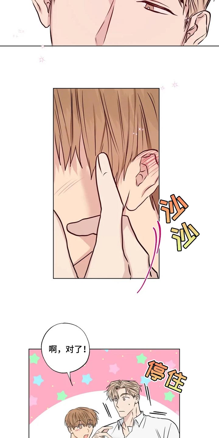 第31章：暴露漏洞10
