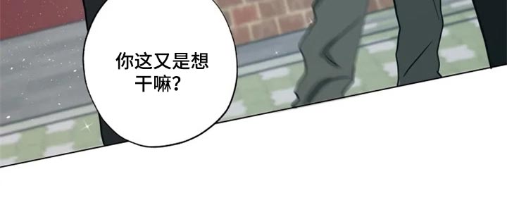 第27章：无所谓19
