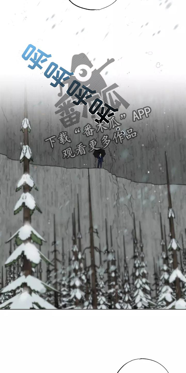 第46章：老熟人17