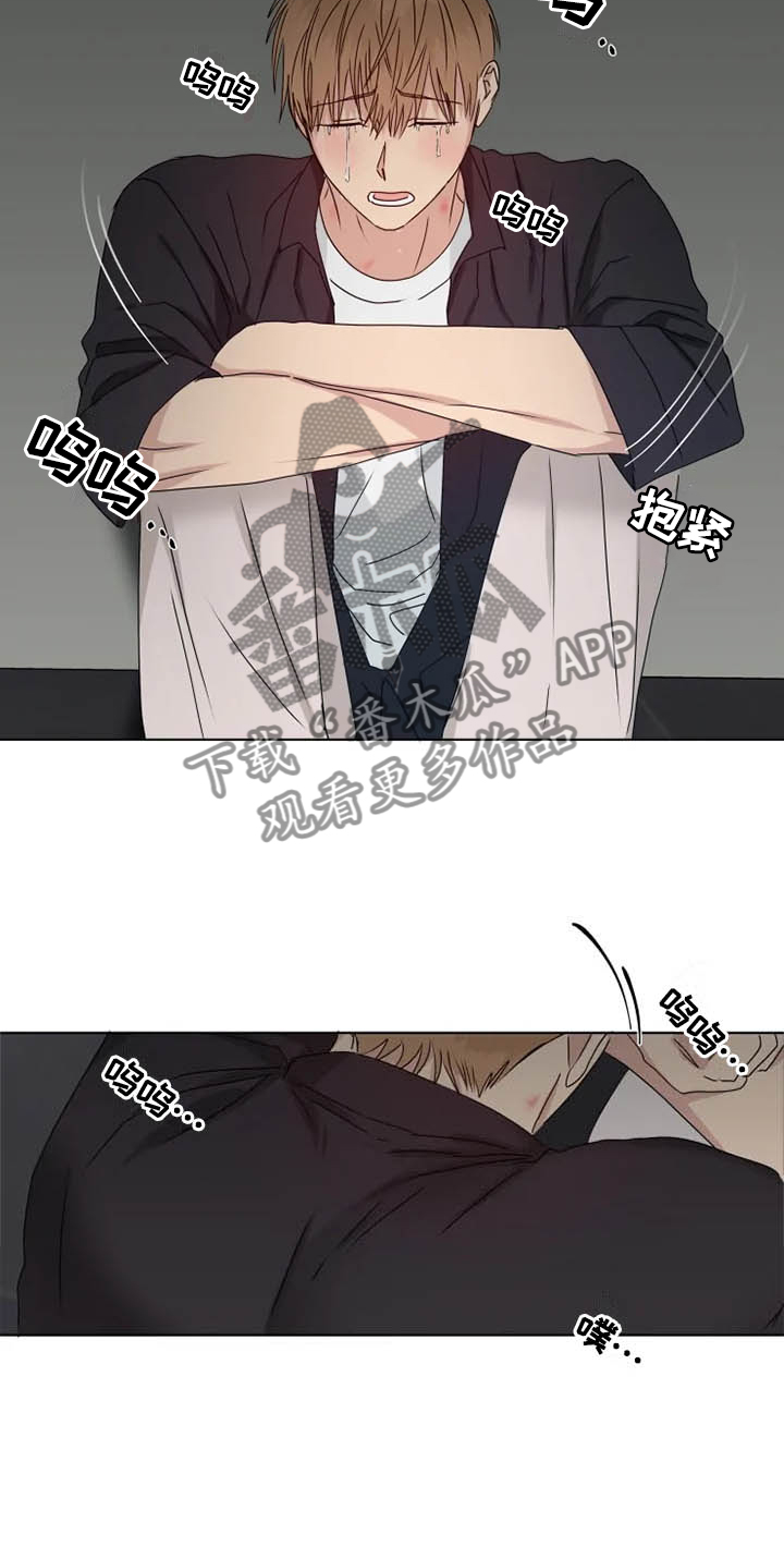 第37章：伤心20