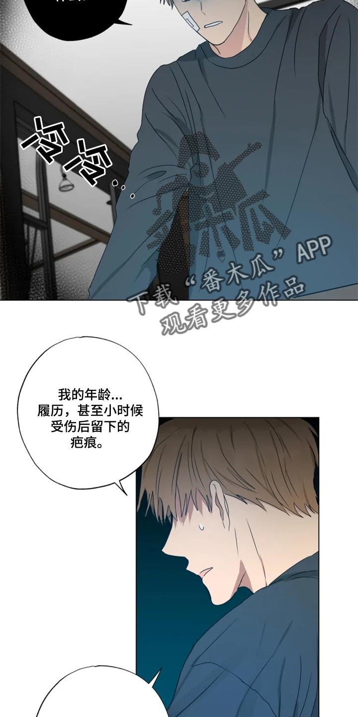 第19章：信息材料17