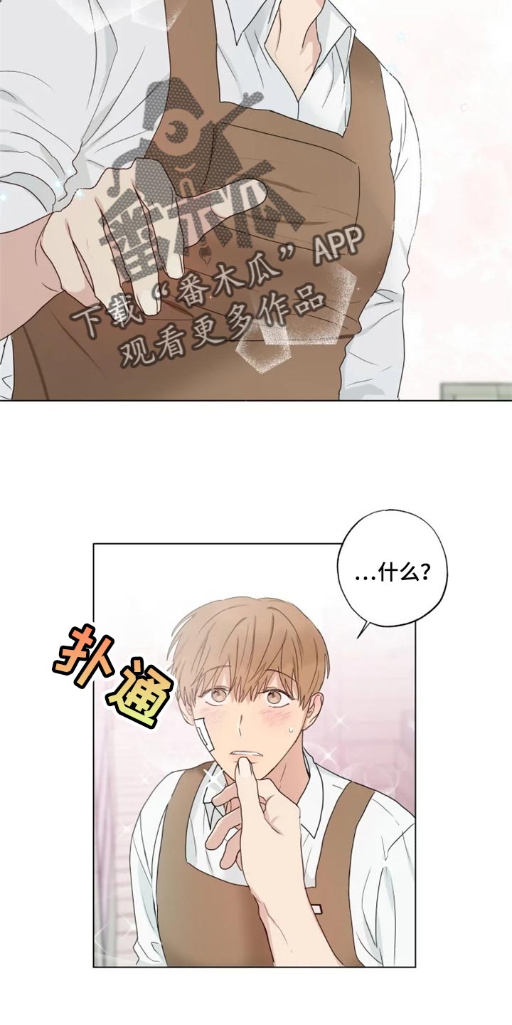 第21章：你看我怎么样18